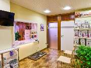 Tierarzt Beck Rossach, Dr. Peter Beck - Fachtierärztliche Praxis für Kleintiere - GALLERY