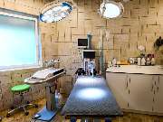 Tierarzt Beck Rossach, Dr. Peter Beck - Fachtierärztliche Praxis für Kleintiere - GALLERY