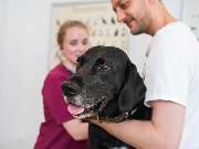 Tierarzt Berlin Kaulsdorf, Tierarztpraxis Kaulsdorf - GALLERY