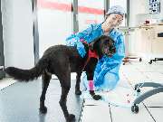 Tierarzt Berlin Kaulsdorf, Tierarztpraxis Kaulsdorf - GALLERY