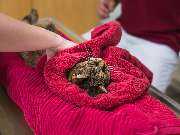 Tierarzt Berlin Kaulsdorf, Tierarztpraxis Kaulsdorf - GALLERY