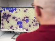 Tierarzt Berlin Kaulsdorf, Tierarztpraxis Kaulsdorf - GALLERY