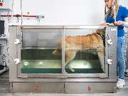 Tierarzt Berlin Prenzlauer Berg, Tierarztpraxis und Tierphysiotherapie Uwe Lenk - GALLERY