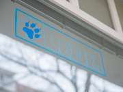 Tierarzt Berlin Prenzlauer Berg, Tierarztpraxis und Tierphysiotherapie Uwe Lenk - GALLERY