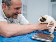 Tierarzt Berlin Prenzlauer Berg, Tierarztpraxis und Tierphysiotherapie Uwe Lenk - GALLERY