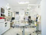 Tierarzt Berlin Prenzlauer Berg, Tierarztpraxis und Tierphysiotherapie Uwe Lenk - GALLERY