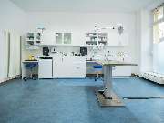 Tierarzt Berlin Prenzlauer Berg, Tierarztpraxis und Tierphysiotherapie Uwe Lenk - GALLERY