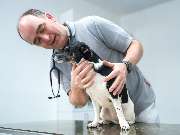 Tierarzt Berlin Prenzlauer Berg, Tierarztpraxis und Tierphysiotherapie Uwe Lenk - GALLERY