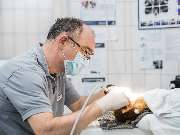 Tierarzt Berlin Prenzlauer Berg, Tierarztpraxis und Tierphysiotherapie Uwe Lenk - GALLERY