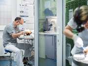 Tierarzt Berlin Prenzlauer Berg, Tierarztpraxis und Tierphysiotherapie Uwe Lenk - GALLERY