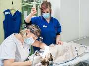 Tierarzt Berlin Prenzlauer Berg, Tierarztpraxis und Tierphysiotherapie Uwe Lenk - GALLERY