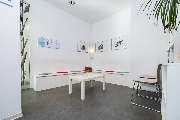 Tierarzt Berlin, vets for cats Berlin - Tierarztpraxis für Katzen - GALLERY