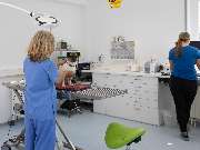 Tierarzt Biet & Wanschura Nagold, Tierarztpraxis Biet & Wanschura - GALLERY