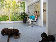 Tierarzt Biet & Wanschura Nagold, Tierarztpraxis Biet & Wanschura - GALLERY