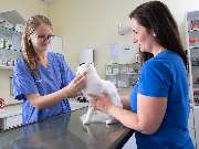 Tierarzt Biet & Wanschura Nagold, Tierarztpraxis Biet & Wanschura - GALLERY