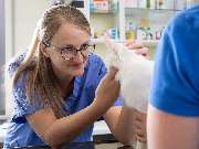 Tierarzt Biet & Wanschura Nagold, Tierarztpraxis Biet & Wanschura - GALLERY