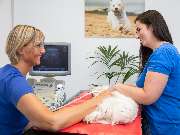 Tierarzt Biet & Wanschura Nagold, Tierarztpraxis Biet & Wanschura - GALLERY