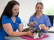 Tierarzt Biet & Wanschura Nagold, Tierarztpraxis Biet & Wanschura - GALLERY