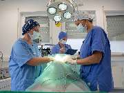 Tierarzt Biet & Wanschura Nagold, Tierarztpraxis Biet & Wanschura - GALLERY