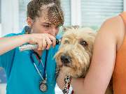 Tierarzt Birke Marburg, Tierarztpraxis Marburg - GALLERY