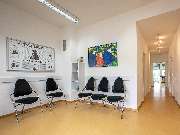 Tierarzt Birke Marburg, Tierarztpraxis Marburg - GALLERY