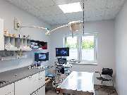 Tierarzt Celle, Tierärztliche Praxis an der Aller - GALLERY