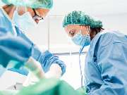 Tierarzt Celle, Tierärztliche Praxis an der Aller - GALLERY