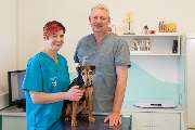 Tierarzt Dommer Welden, Tierarztpraxis Welden - GALLERY