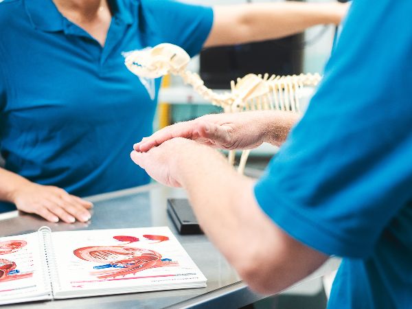 Tierarzt Dommer Welden, Tierarztpraxis Welden - GA …