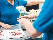 Tierarzt Dommer Welden, Tierarztpraxis Welden - GALLERY