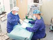 Tierarzt Dommer Welden, Tierarztpraxis Welden - GALLERY