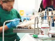 Tierarzt Dommer Welden, Tierarztpraxis Welden - GALLERY