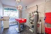 Tierarzt Dr. Jasmin Riemel - Tierarzt Dr. Jasmin Riemel Bonn