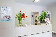 Tierarzt Dr. Jasmin Riemel - Tierarzt Dr. Jasmin Riemel Bonn
