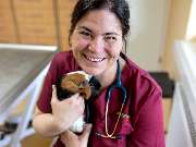 Tierarzt Drücker Achim-Uphusen Kleintierpraxis Uphusen - GALLERY