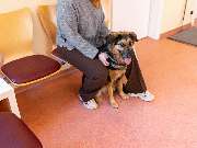 Tierarzt Drücker Achim-Uphusen Kleintierpraxis Uphusen - GALLERY