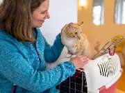 Tierarzt Eckernförde, Tierarztpraxis Heldt - GALLERY