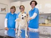 Tierarzt Eckernförde, Tierarztpraxis Heldt - GALLERY