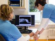 Tierarzt Eckernförde, Tierarztpraxis Heldt - GALLERY