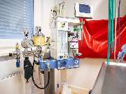 Tierarzt Eckernförde, Tierarztpraxis Heldt - GALLERY