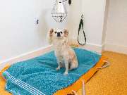 Tierarzt Eckernförde, Tierarztpraxis Heldt - GALLERY