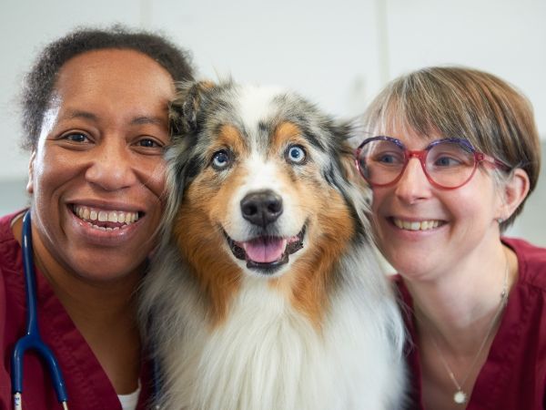 Tierarzt Erkelenz, Tierarztpraxis im Karo - GALLER …