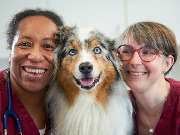 Tierarzt Erkelenz, Tierarztpraxis im Karo - GALLERY