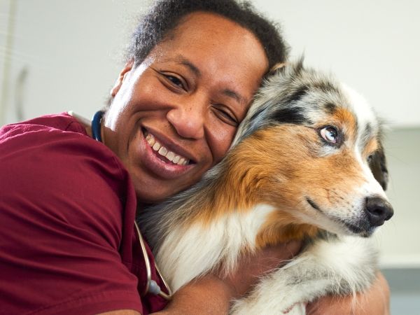 Tierarzt Erkelenz, Tierarztpraxis im Karo - GALLER …