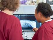 Tierarzt Erkelenz, Tierarztpraxis im Karo - GALLERY