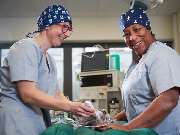 Tierarzt Erkelenz, Tierarztpraxis im Karo - GALLERY