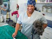 Tierarzt Erkelenz, Tierarztpraxis im Karo - GALLERY