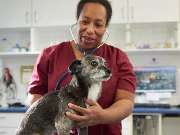 Tierarzt Erkelenz, Tierarztpraxis im Karo - GALLERY