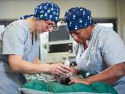 Tierarzt Erkelenz, Tierarztpraxis im Karo - GALLERY