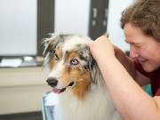 Tierarzt Erkelenz, Tierarztpraxis im Karo - GALLERY